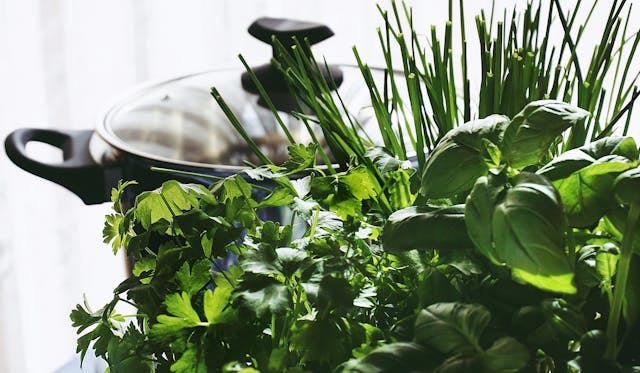 indoor herb garden kit, how to grow herbs indoors, best indoor herb garden, indoor hydroponic herb garden, indoor herb garden with a light, kitchen window herb garden, indoor herb garden for beginners, growing herbs indoors year-round, AeroGarden indoor herb garden, indoor kitchen herb garden, indoor herb garden ideas, DIY indoor herb garden, small indoor herb garden, indoor herb garden containers, vertical indoor herb garden, indoor herb garden shelf, indoor herb garden wall, indoor herb garden planters, windowsill herb garden kit, indoor culinary herb garden